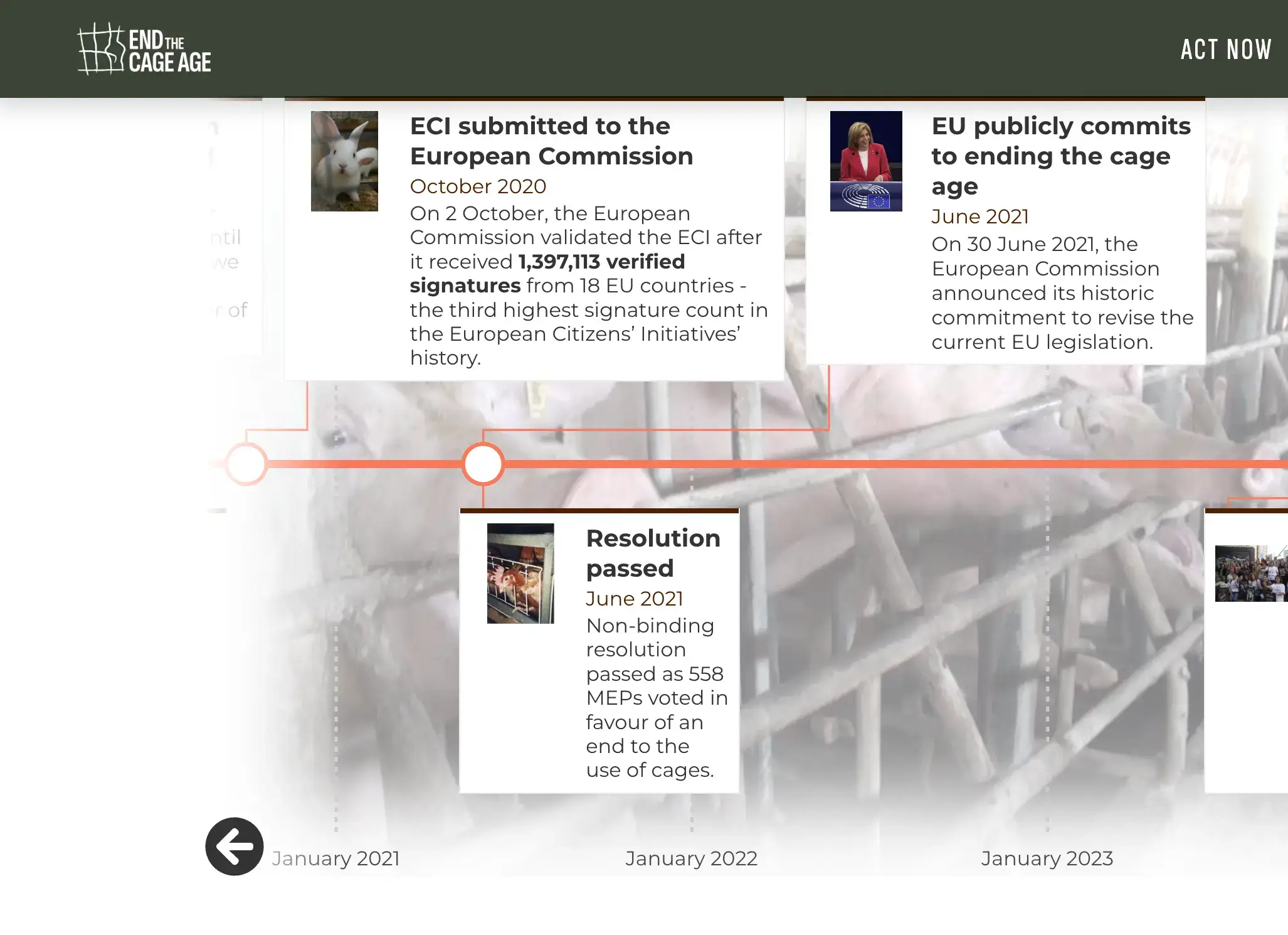 DB timeline